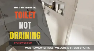 Shower and Toilet Drain Issues: Causes and Quick Fixes Explained
