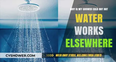 Cold Shower Mystery: Why Hot Water Works Everywhere Else?