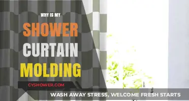Preventing Mold: Why Your Shower Curtain is Molding and How to Fix It