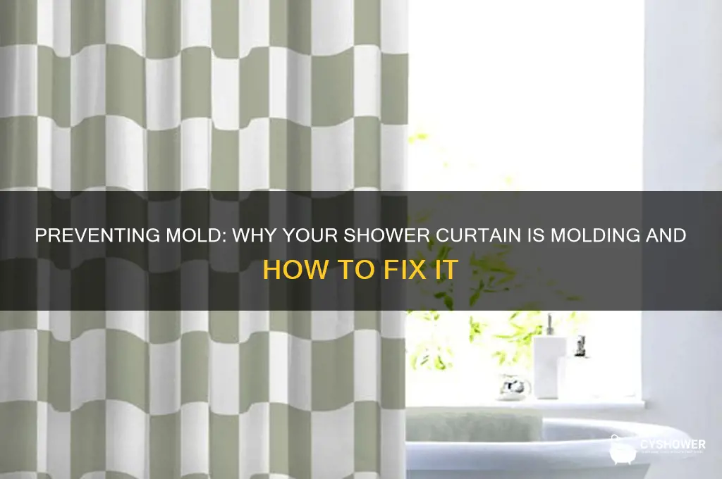 why is my shower curtain molding