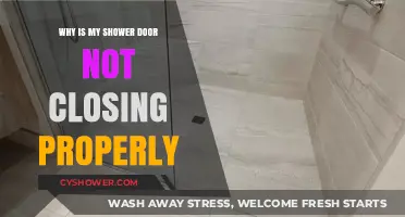Troubleshooting Shower Door Issues: Why Won't It Close Properly?