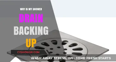 Why Your Shower Drain Keeps Backing Up: Causes and Fixes