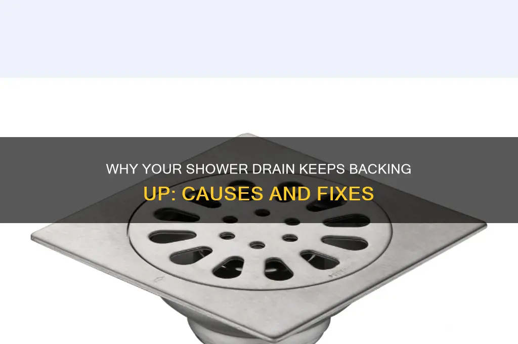 why is my shower drain backing up