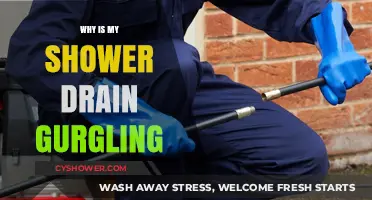 Why Your Shower Drain Gurgles: Causes and Quick Fixes