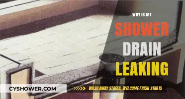 Shower Drain Leaking? Causes, Fixes, and Prevention Tips Revealed