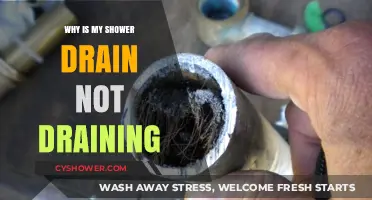 Shower Drain Clogged? Quick Fixes for Slow Draining Showers