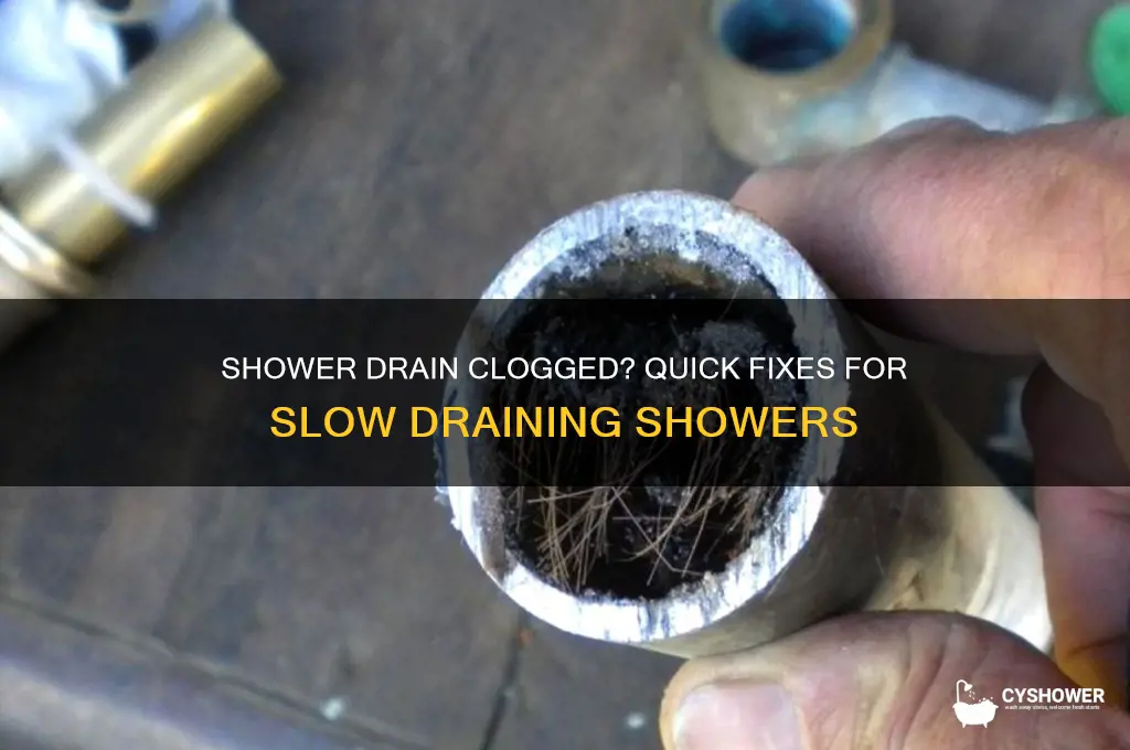 why is my shower drain not draining