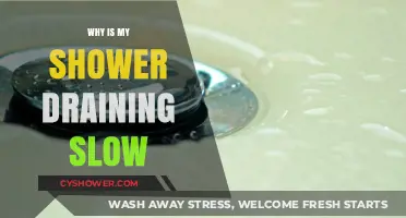 Why Is My Shower Draining Slow? Causes and Quick Fixes