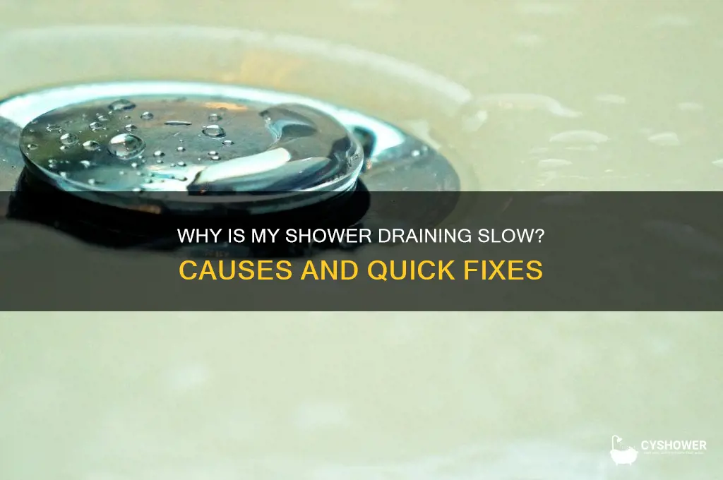 why is my shower draining slow