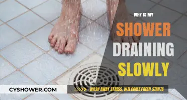 Why Is My Shower Draining Slowly? Causes and Quick Fixes