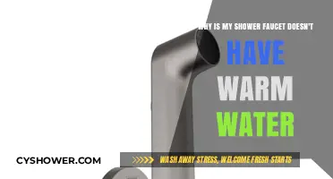 Shower Faucet Troubleshooting: Why No Warm Water is Coming Out