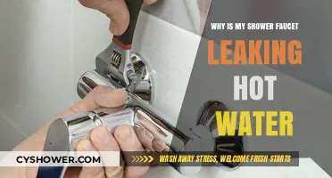 Why Is My Shower Faucet Leaking Hot Water? Causes & Fixes