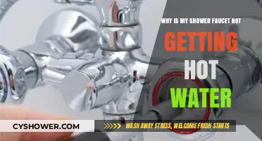 Troubleshooting Your Shower: Why Isn't Hot Water Reaching the Faucet?
