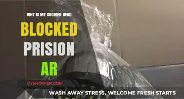 Blocked Shower Head in Prison: Causes and Quick Fixes Explained