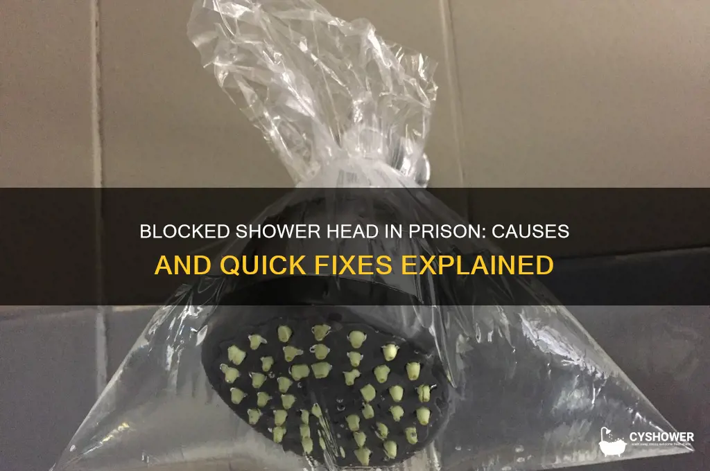 why is my shower head blocked prision ar