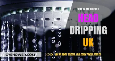 Why Is My Shower Head Dripping? UK Fixes and Causes