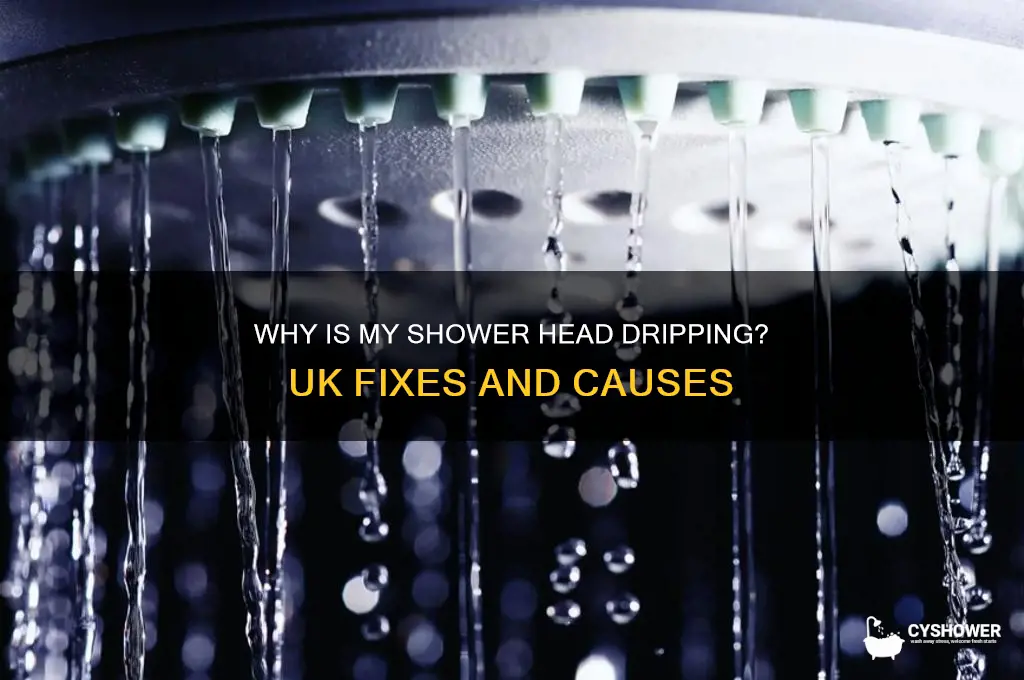why is my shower head dripping uk