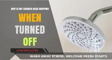 Why Your Shower Head Drips When Off: Causes and Fixes