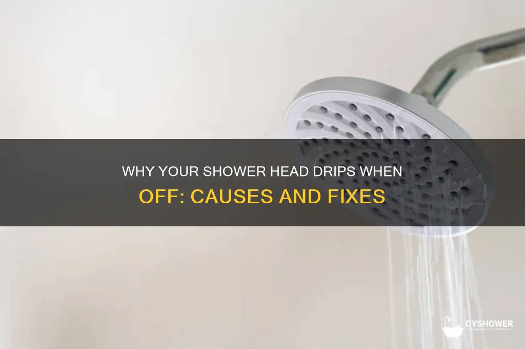 why is my shower head dripping when turned off