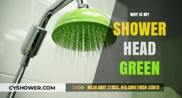 Why Is My Shower Head Green? Causes and Solutions Explained
