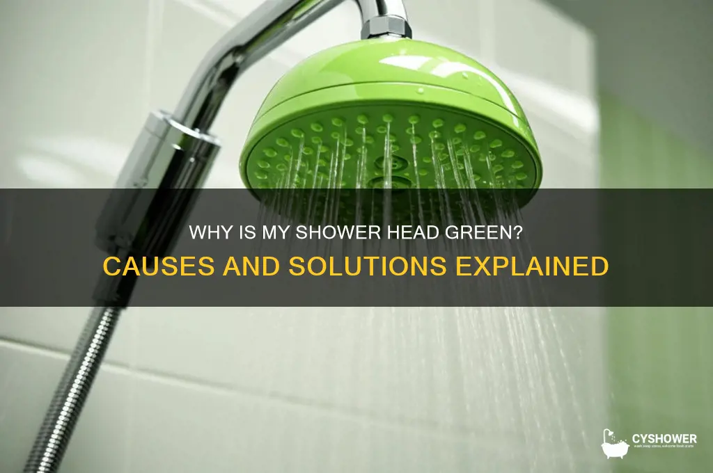 why is my shower head green