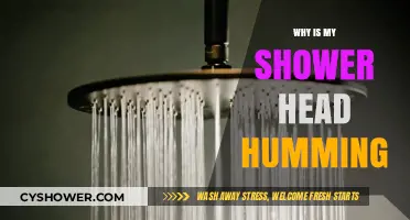 Why Is My Shower Head Humming? Causes and Quick Fixes