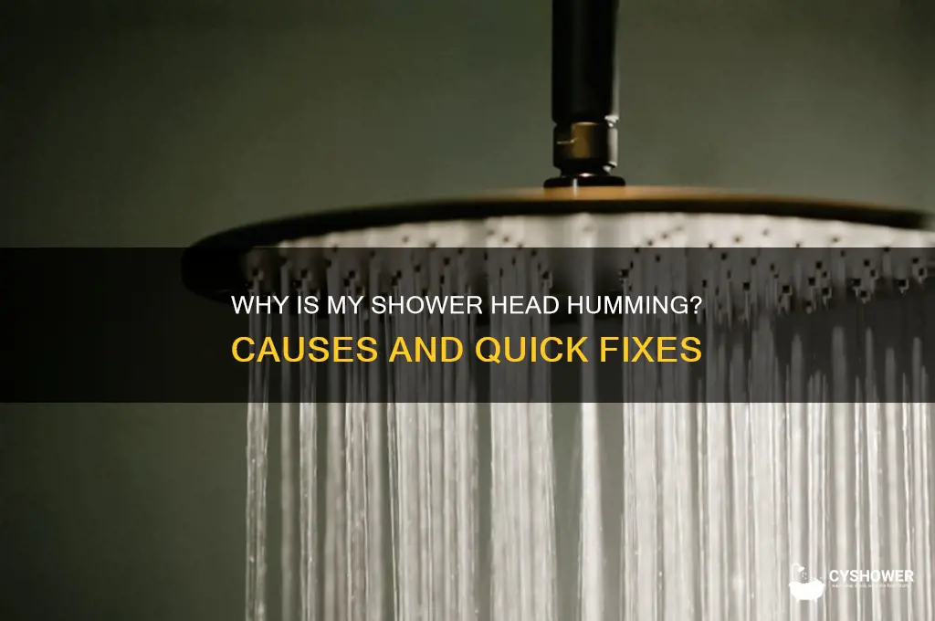 why is my shower head humming