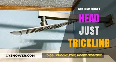 Why Your Shower Head is Trickling: Common Causes and Fixes