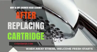 Shower Head Leaking Post-Cartridge Replacement: Common Causes and Fixes