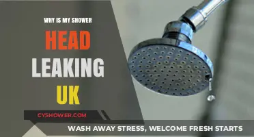 Why Is My Shower Head Leaking? UK Fixes and Causes Explained