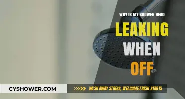 Shower Head Leaking When Off? Causes and Quick Fixes Explained