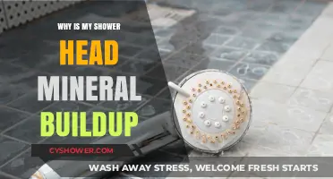 Shower Head Mineral Buildup: Causes, Prevention, and Easy Cleaning Tips
