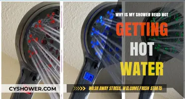 Troubleshooting Your Shower: Why Isn't Hot Water Reaching the Head?