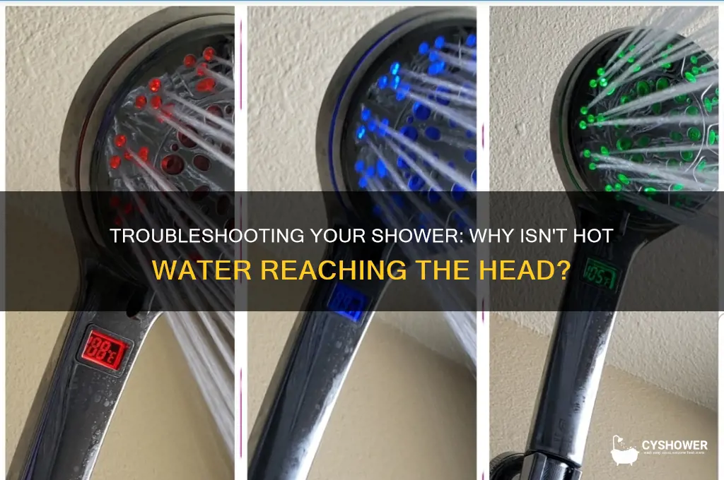 why is my shower head not getting hot water