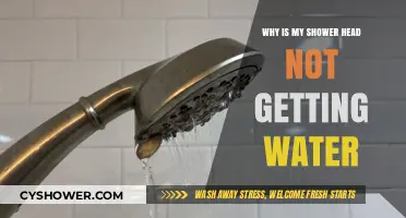 Why Your Shower Head Isn’t Getting Water: Common Causes & Fixes