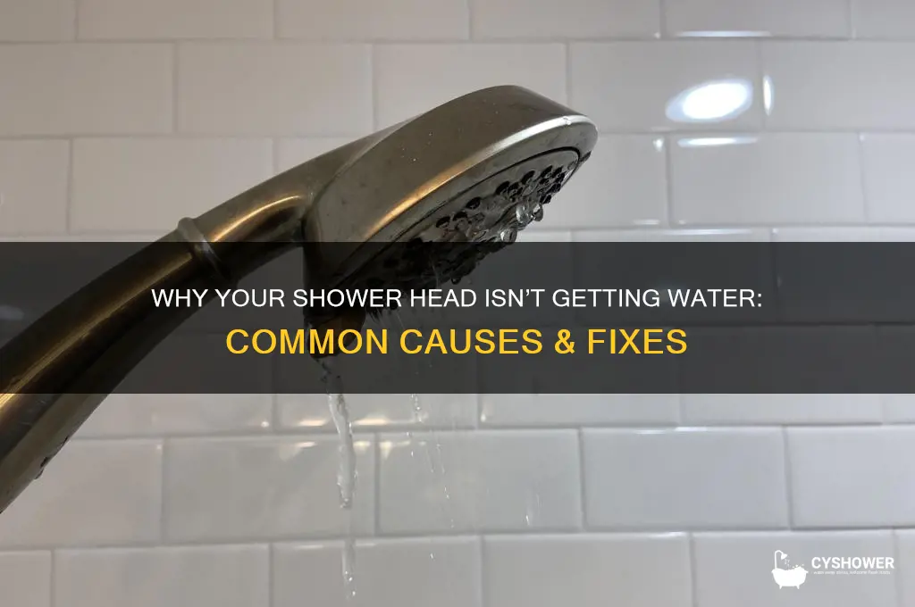 why is my shower head not getting water