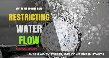 Why Your Shower Head Restricts Water Flow: Causes and Fixes