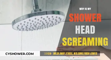 Why Is My Shower Head Screaming? Troubleshooting Noisy Shower Issues