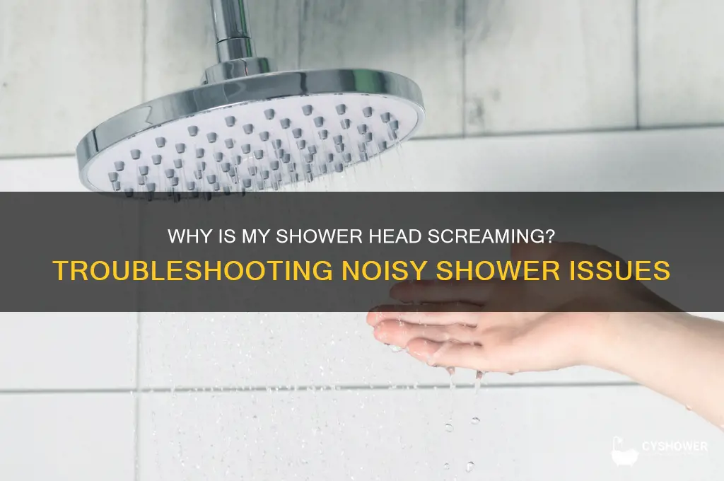 why is my shower head screaming