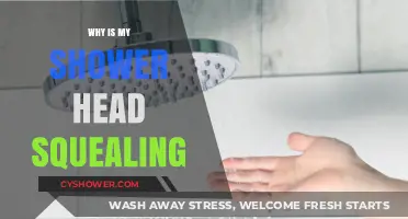 Why Is My Shower Head Squealing? Causes and Quick Fixes