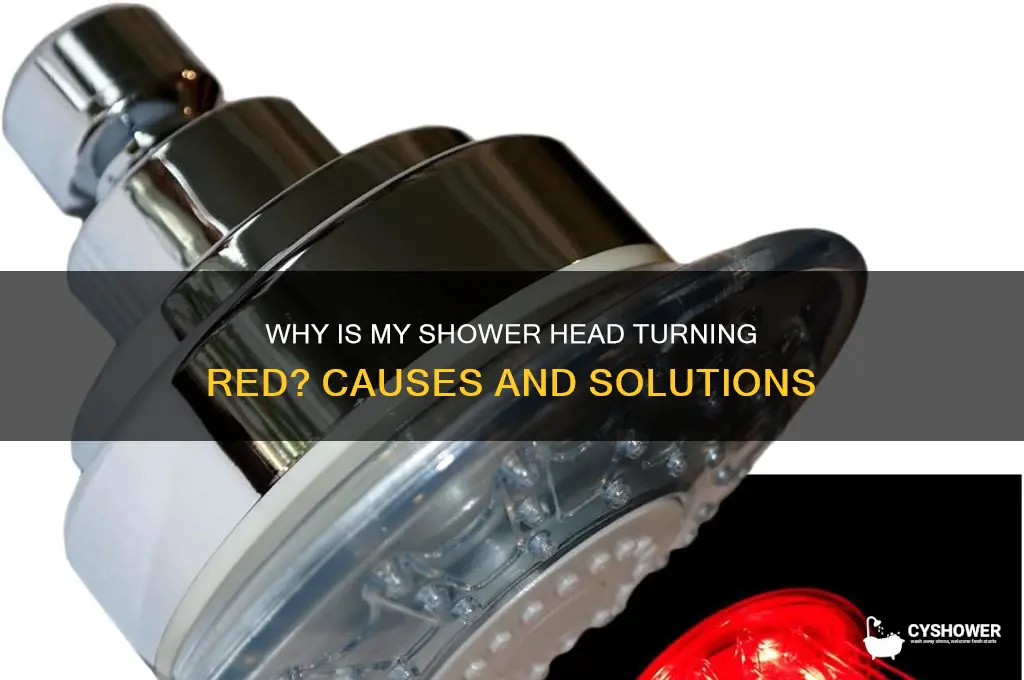 why is my shower head turning red
