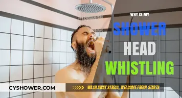 Why Is My Shower Head Whistling? Causes and Quick Fixes