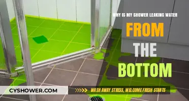 Shower Leaking from Bottom? Causes and Quick Fixes Explained