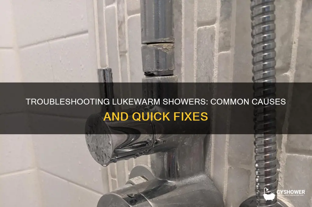 why is my shower only getting lukewarm