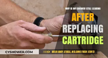 Shower Leaking After Cartridge Replacement? Troubleshooting Common Causes