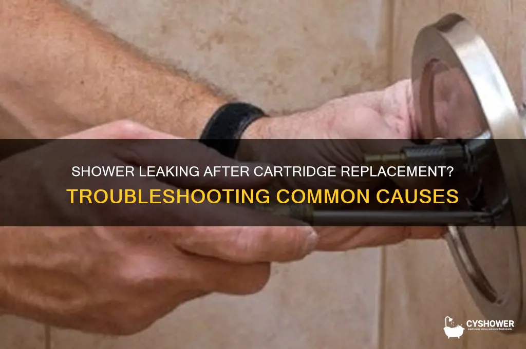 why is my shower still leaking after replacing cartridge