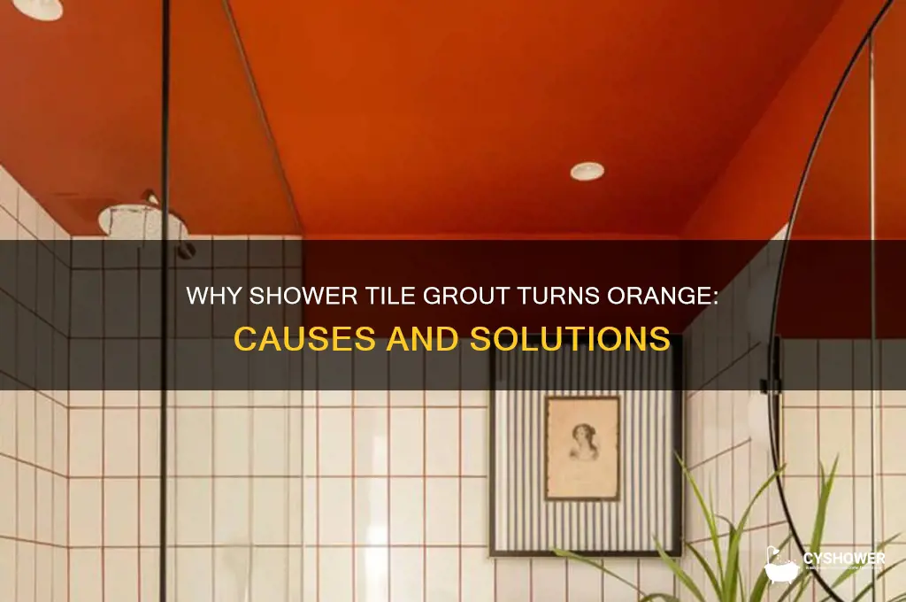 why is my shower tile grout turning orange