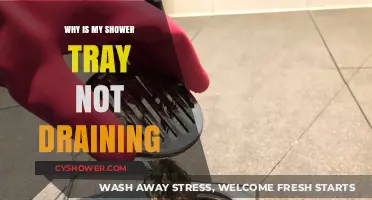 Why Your Shower Tray Isn’t Draining: Common Causes & Fixes