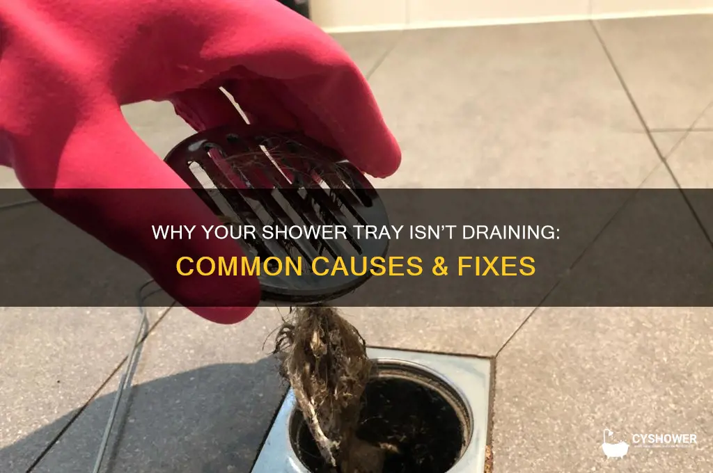 why is my shower tray not draining