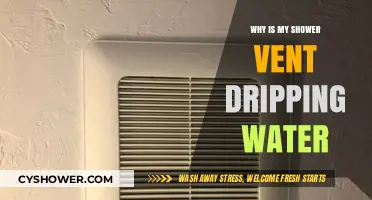 Why Is My Shower Vent Dripping Water? Causes and Fixes